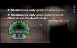 Img_67748_terraria-farm-glow-mushrooms-with-style-pixel-art